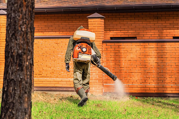 Bed Bug Clearance Verification and Documentation in Ben Bolt